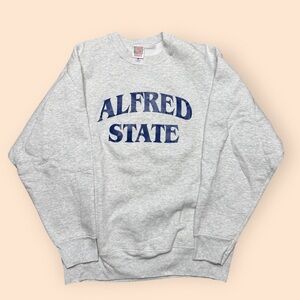 Vintage 1990s Alfred State Pioneers Crewneck Sweatshirt Men’s Large Gray Vtg 90s